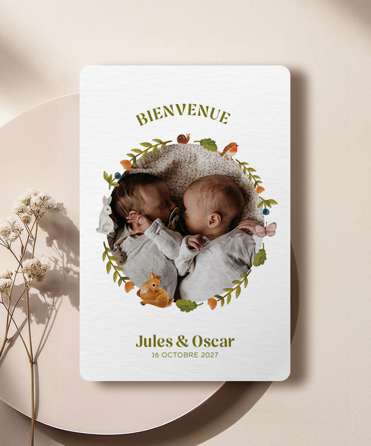 Faire part naissance jumeaux