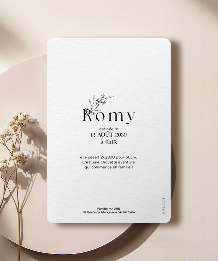 Faire part de naissance Kraft Romy