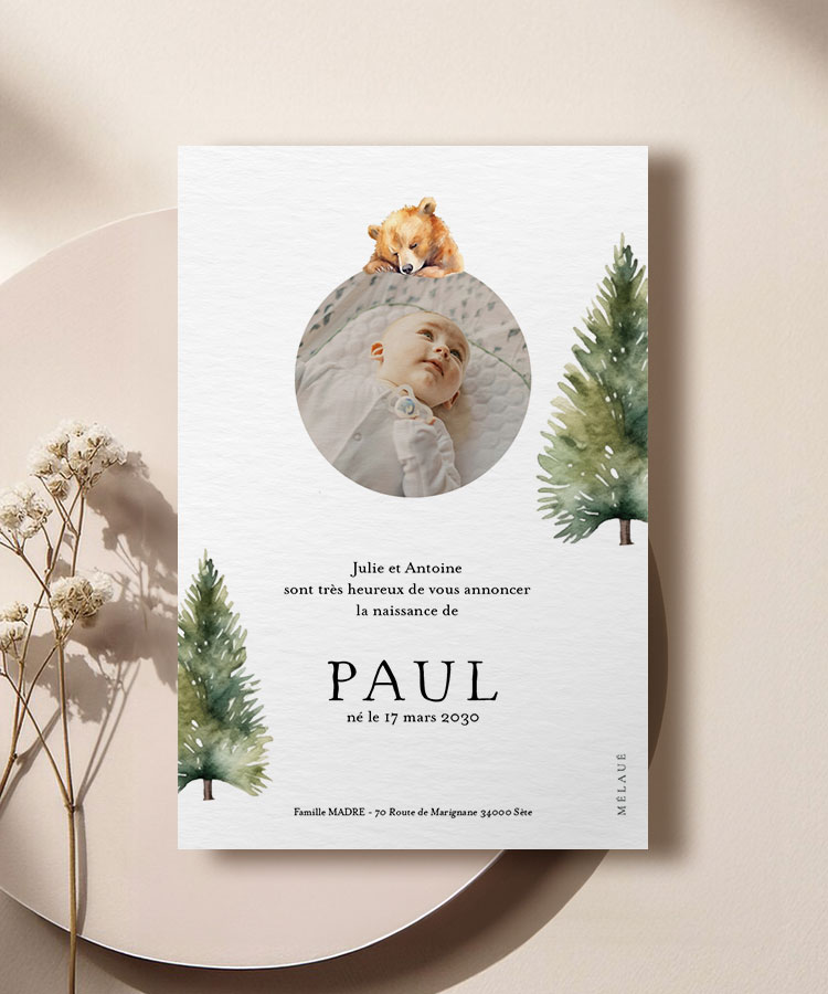 Faire part naissance ours