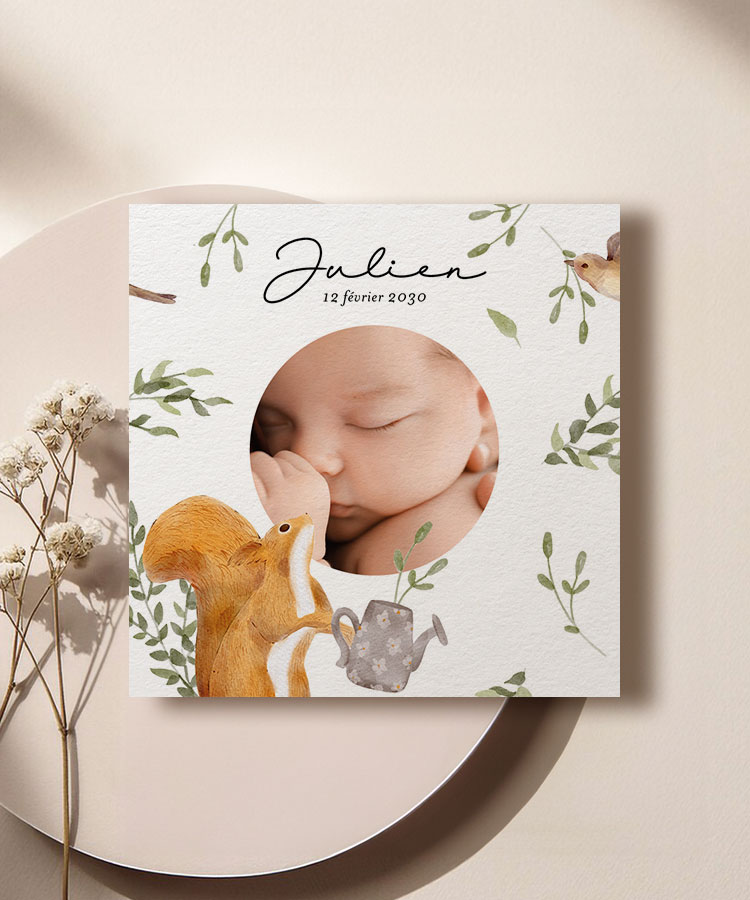 Faire part de naissance écureuil